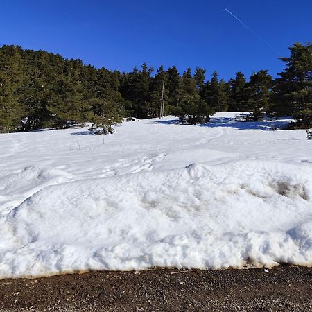 גראולייר Appartement Greoliere Les Neiges Avec Exterieur מראה חיצוני תמונה